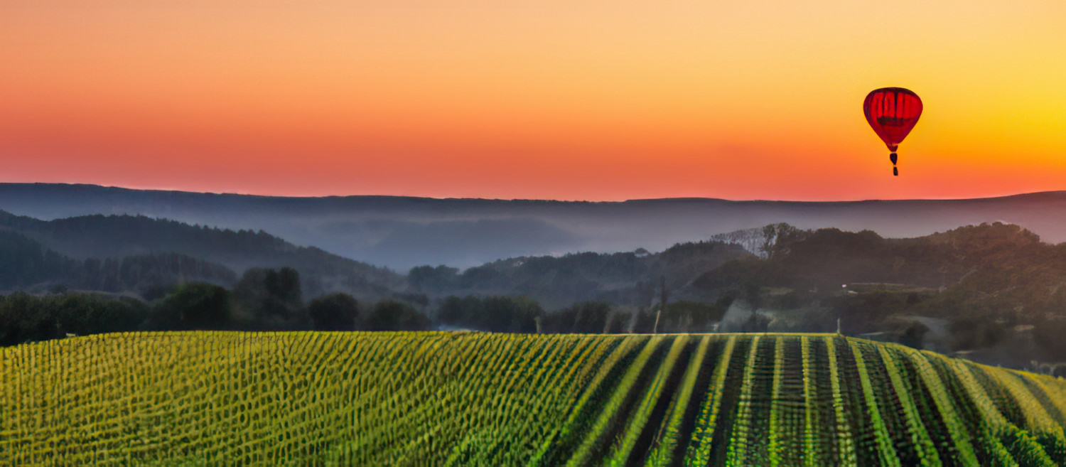 Balloon over vineyard